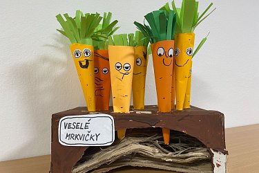 Obrázek č.14